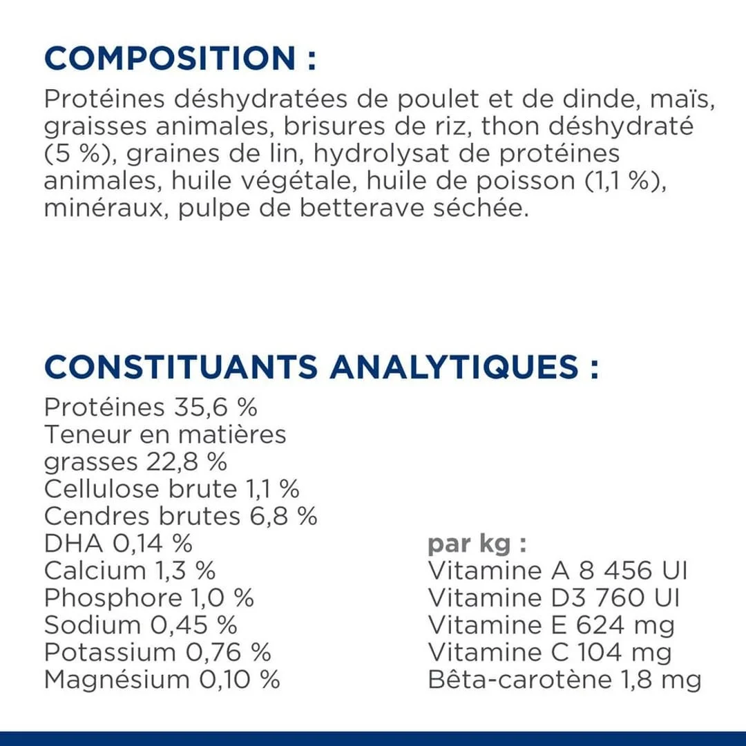 Hill's Science Plan Chat Kitten Thon – Image 6