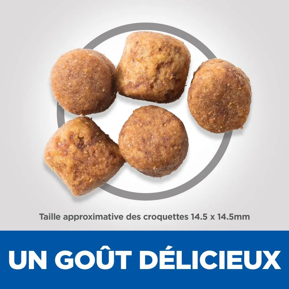 Hill's Science Plan Adult Healthy Mobility Croquettes Pour Grand Chien Au Poulet 14 Kg – Image 5