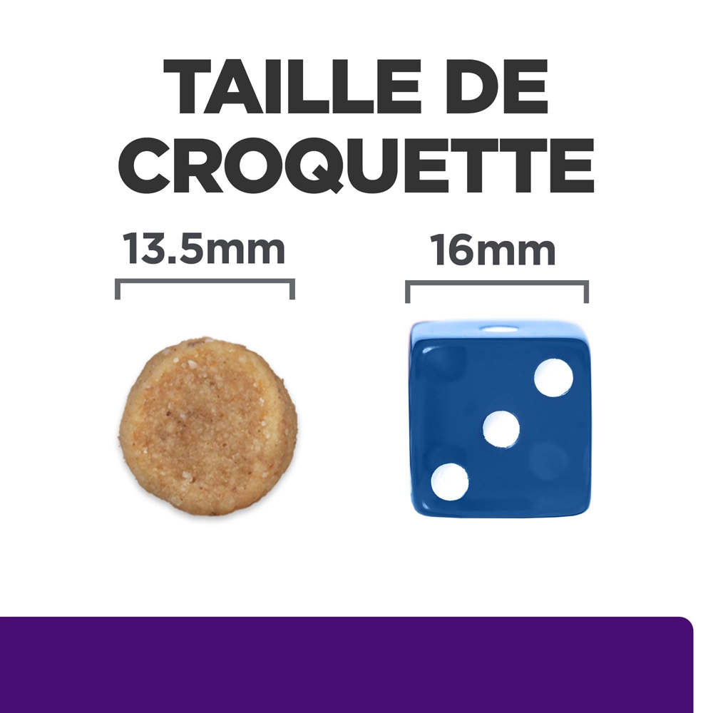 Hill's Presription Diet U/d Urinary Croquettes Pour Chien 10 Kg – Image 5
