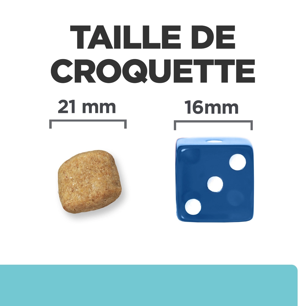 Hill's Prescription Diet T/D Croquettes Pour Petit Chien Au Poulet - 3Kg – Image 5