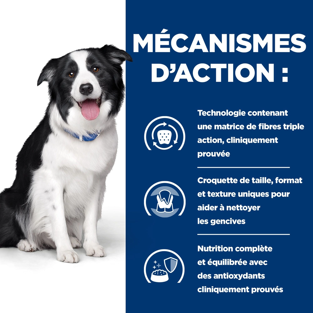 Hill's Prescription Diet T/D Dental Care Croquettes Pour Chien Au Poulet - 10 Kg – Image 3