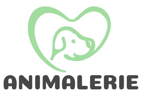 Nourriture pour chien Soldes